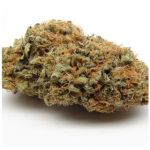 Шишки AK47  (Гидропоника, Бошка) VHQ в Анжеро-Судженске